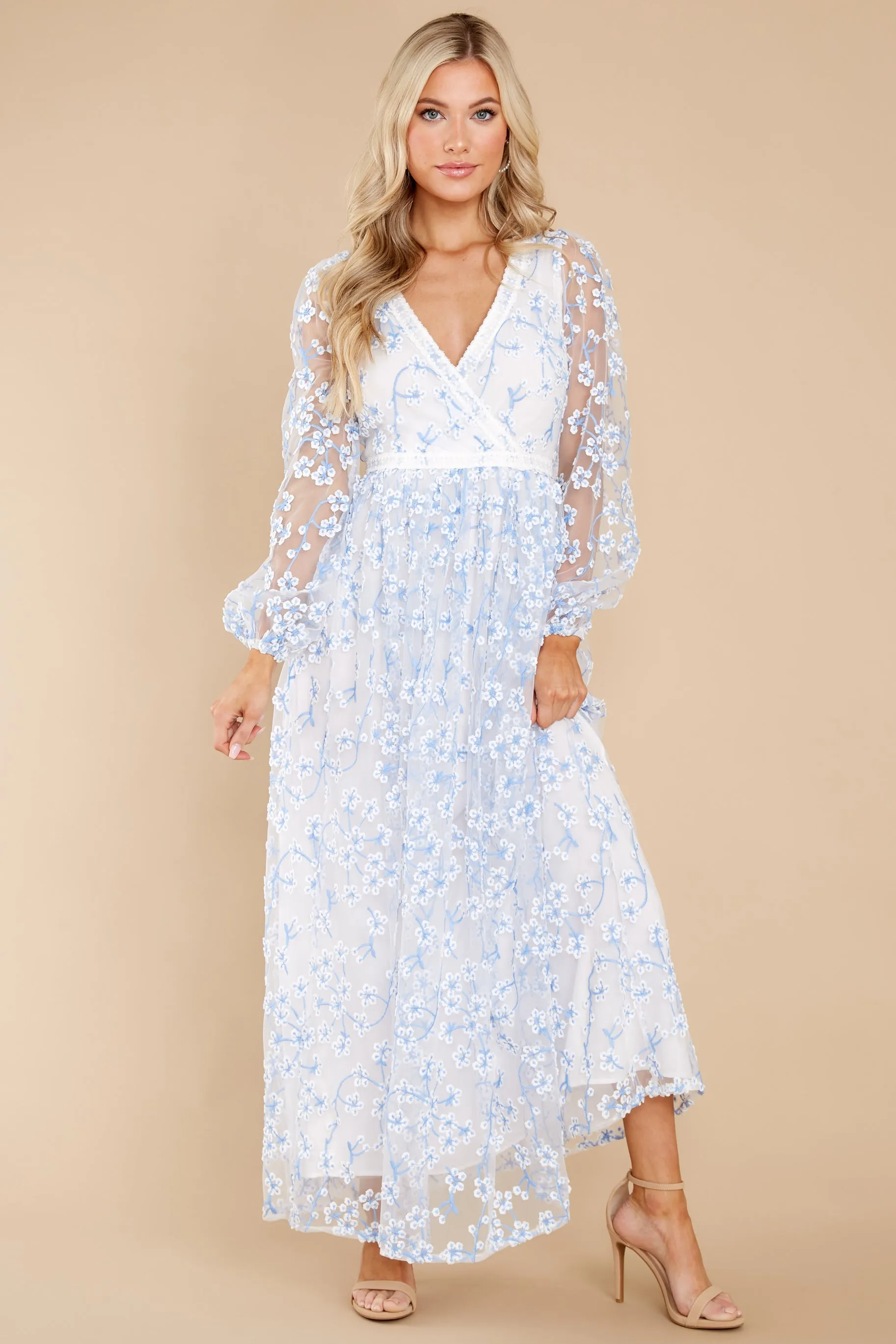 Heavenly Sights Blue And White Floral Embroidered Maxi Dress