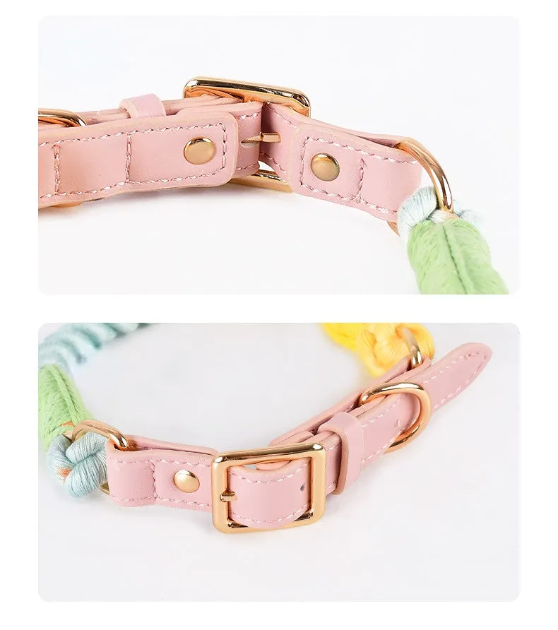 Loofie Colorful Dog Collar & Leash - Sustainable, Vivid, and Durable