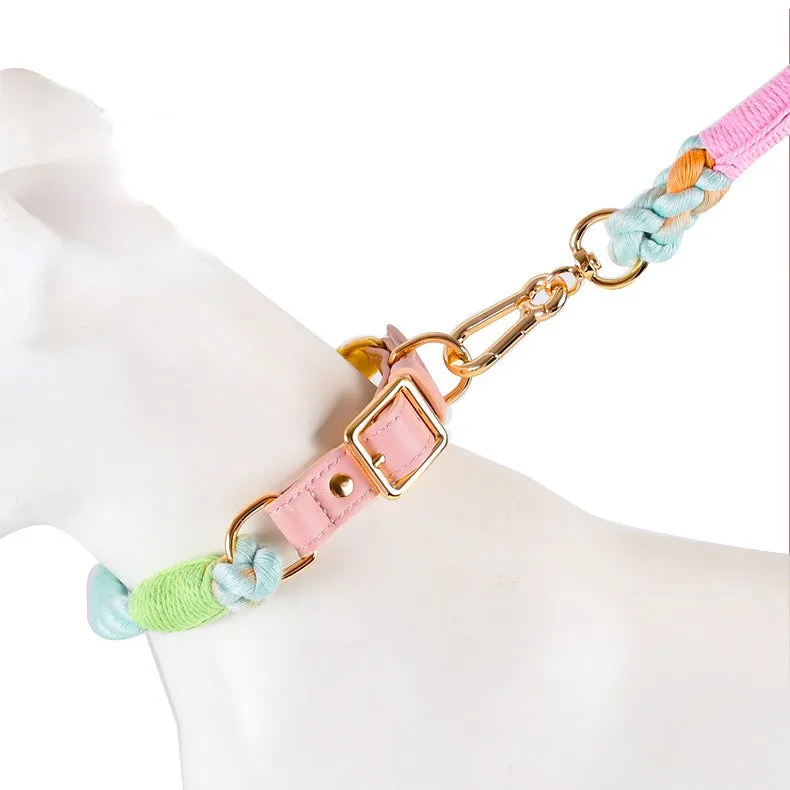 Loofie Colorful Dog Collar & Leash - Sustainable, Vivid, and Durable