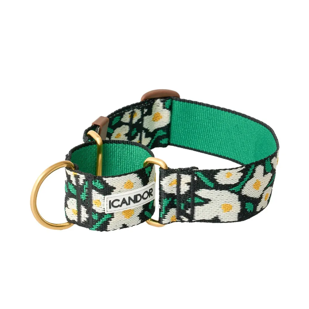 Smooth Martingale Collar 38mm (Big Fish)