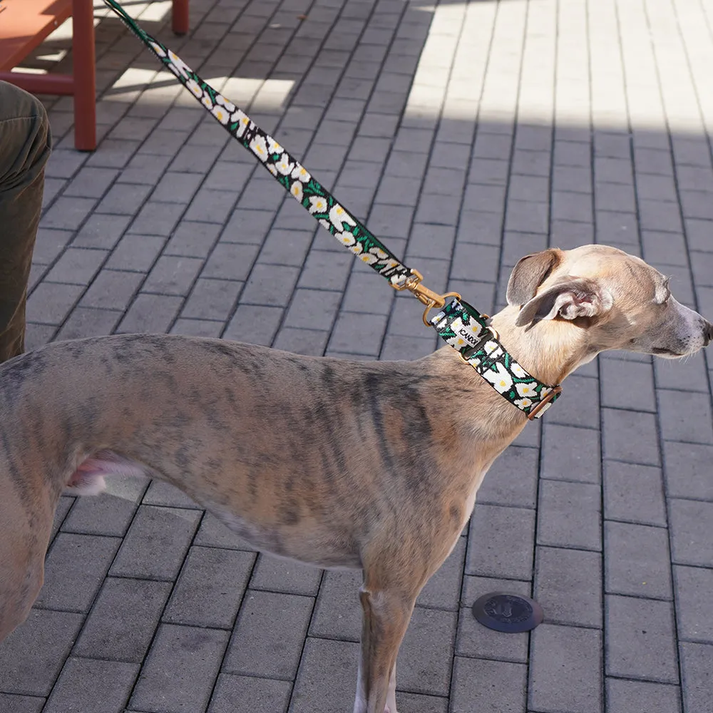 Smooth Martingale Collar 38mm (Big Fish)