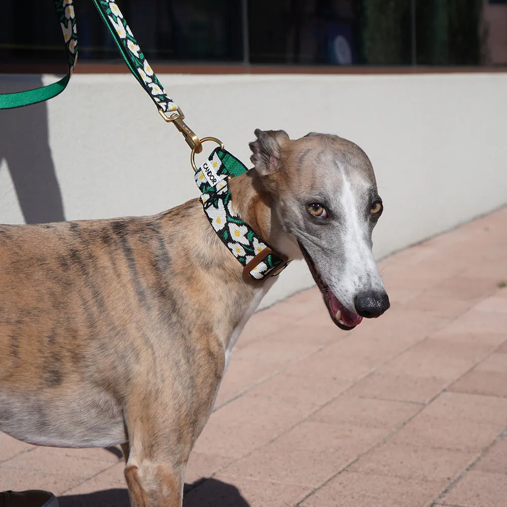 Smooth Martingale Collar 38mm (Big Fish)